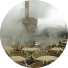 royal皇家88·(中国区) - 官方网站